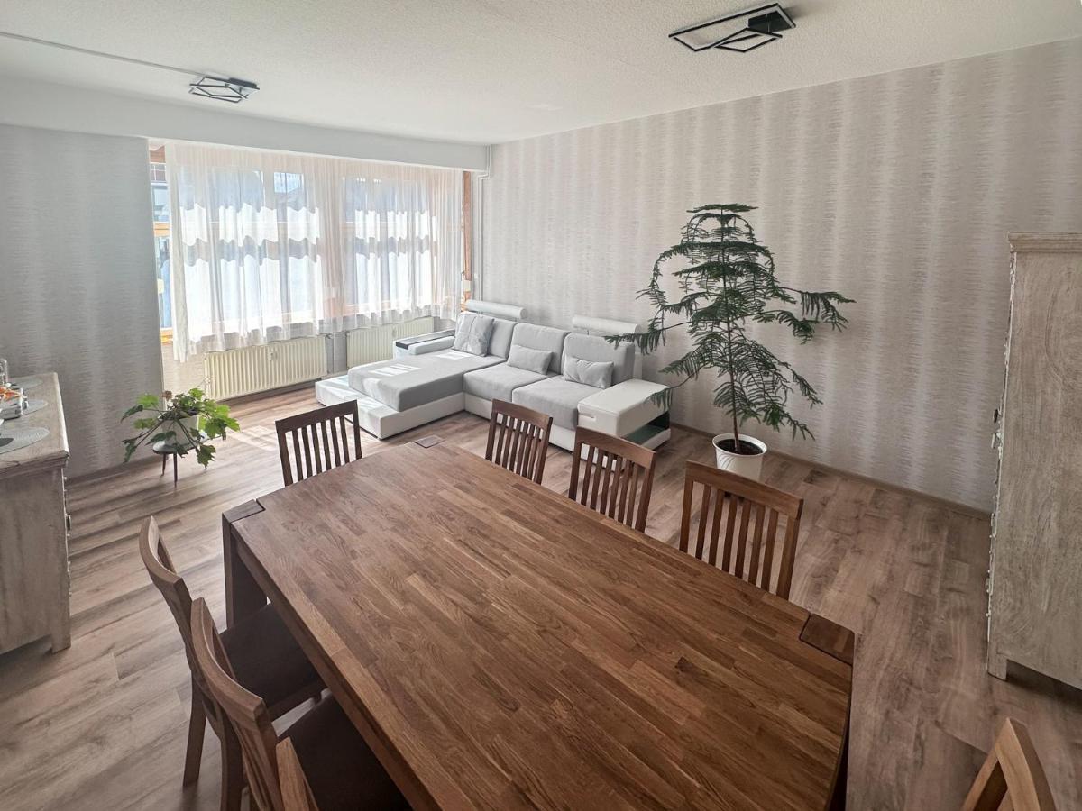 רודולשטאדט Schoene Altbauwohnung Mit Grosser Sonnenterrasse מראה חיצוני תמונה